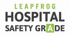 Leapfrog Group logo